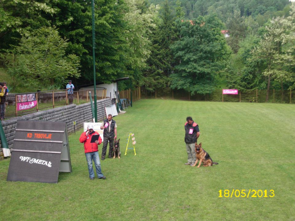 Turnir šolanih psov, 18.05.2013 (galerija 1) - foto povečava