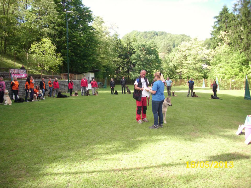 Turnir šolanih psov, 18.05.2013 (galerija 1) - foto povečava
