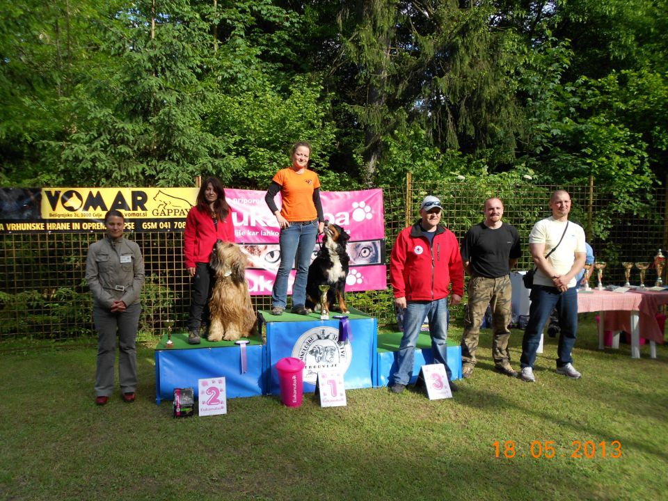 Turnir šolanih psov, 18.05.2013 (galerija 2) - foto povečava