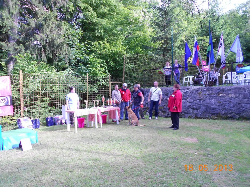 Turnir šolanih psov, 18.05.2013 (galerija 2) - foto povečava