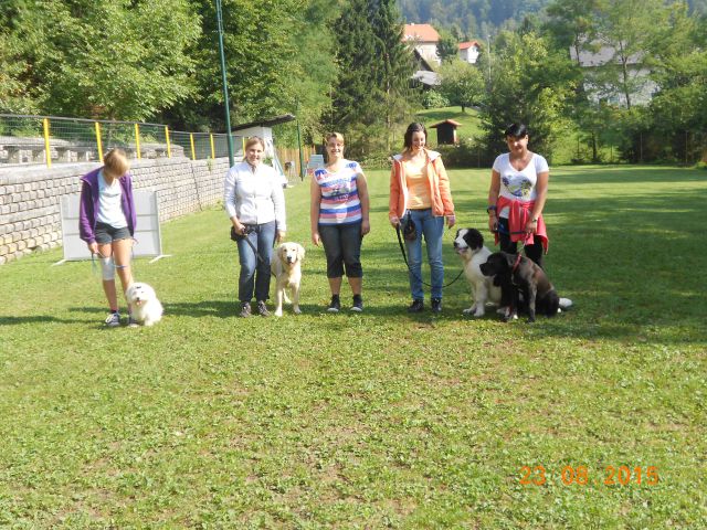 Poletni tečaj male šole 2015 - foto