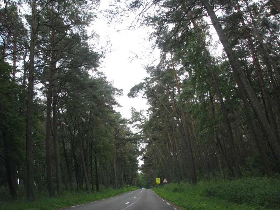 Kilkim žaibu - foto povečava