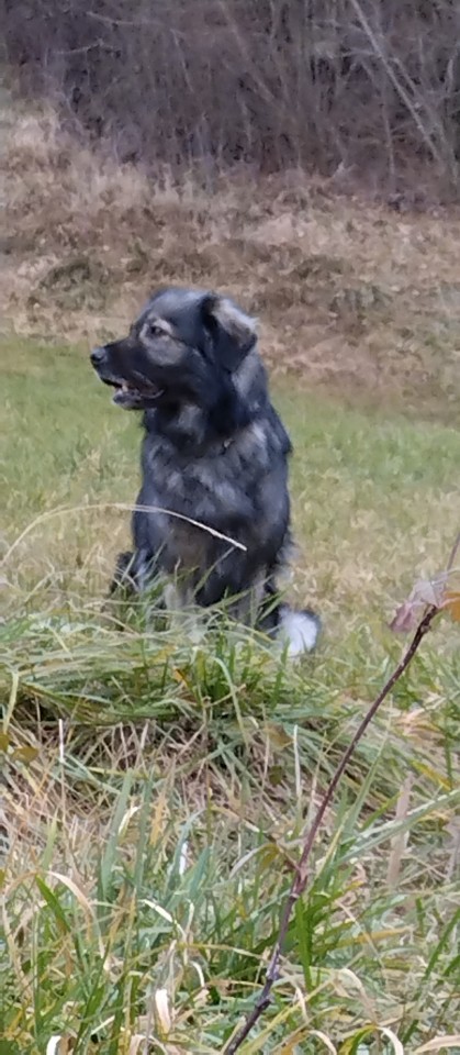Mila - foto povečava