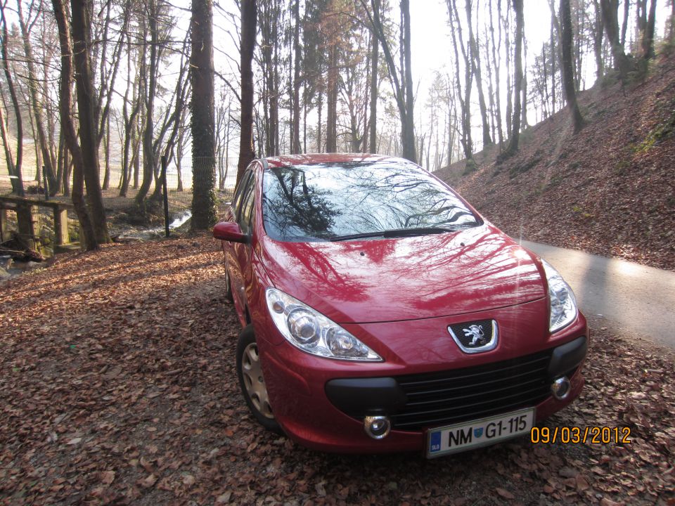 Peugeot 307 D-sign 2007 - foto povečava