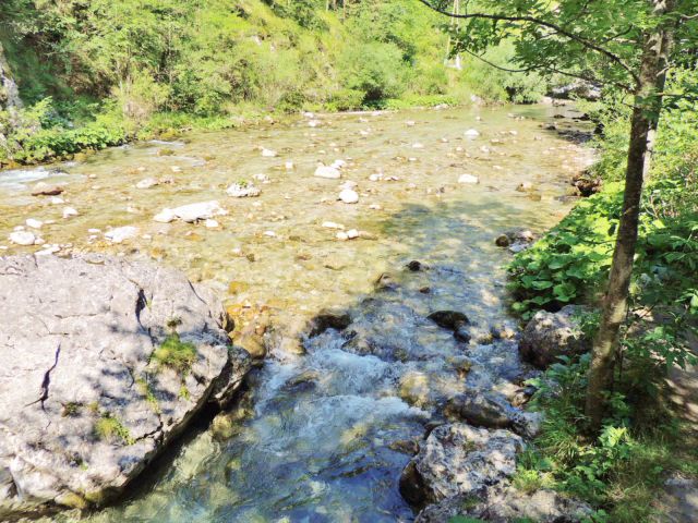 Logarska dolina - foto