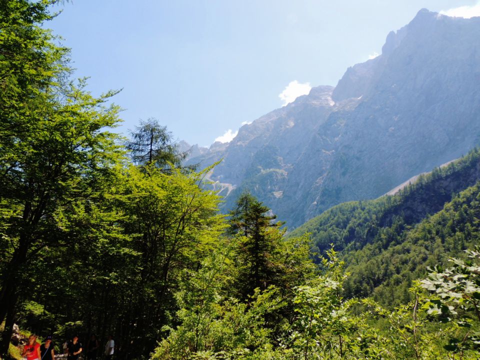 Logarska dolina - foto povečava