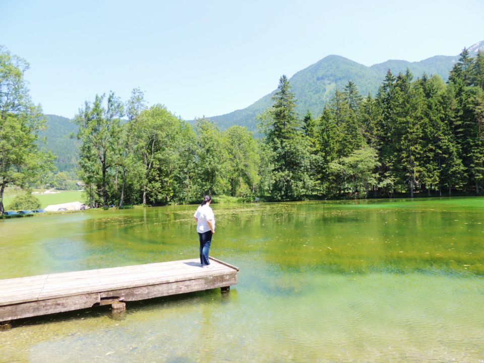 Logarska dolina - foto povečava