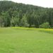 Koče