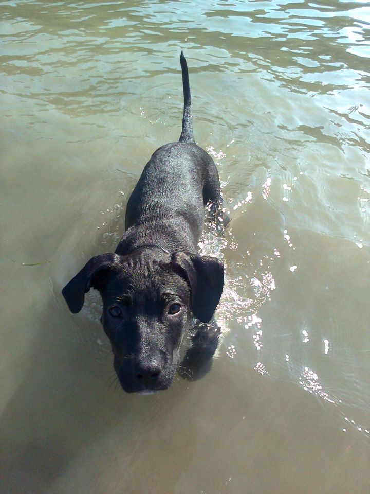 Luna - foto povečava