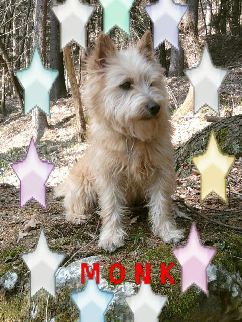 Monk the Clean - foto