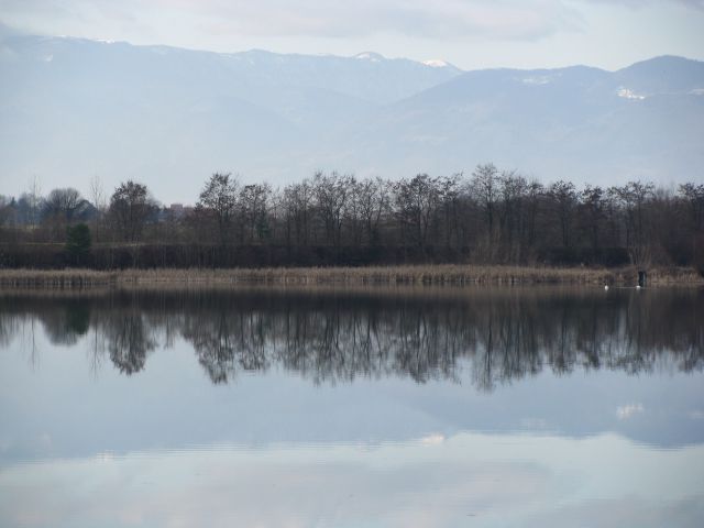 Ribnik v Vrbju (Žalec) - foto