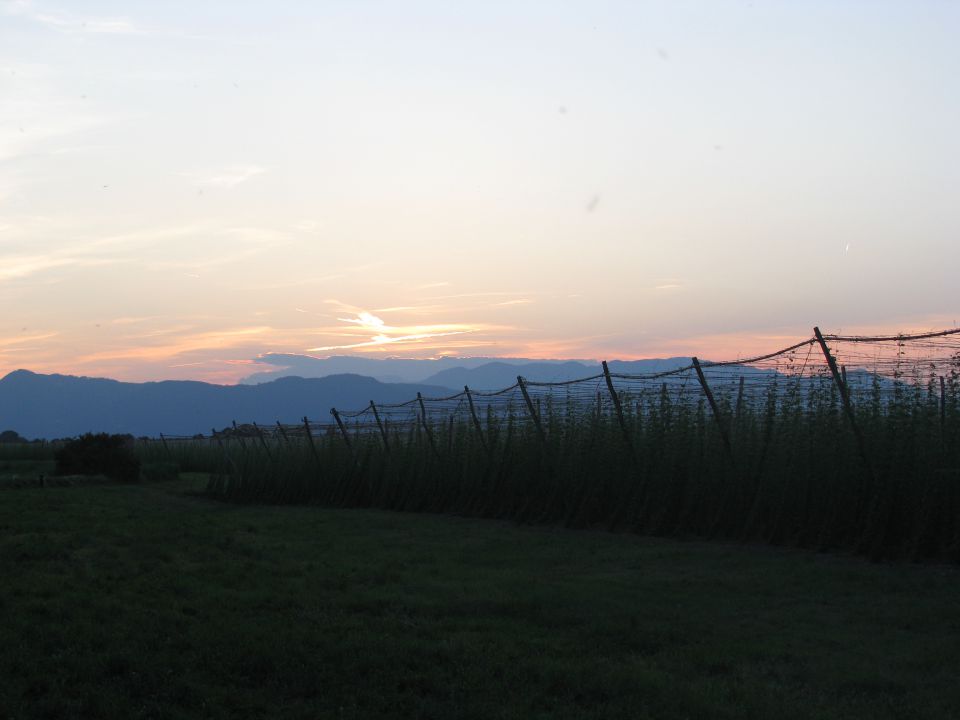 Ribnik v Vrbju (Žalec) - foto povečava