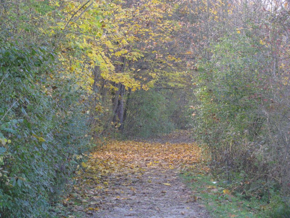 Jesenski motivi - foto povečava