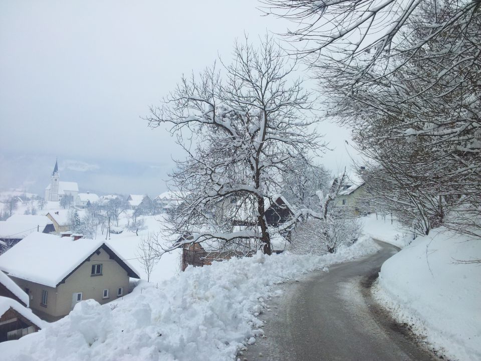 Sedraž pozimi - foto povečava