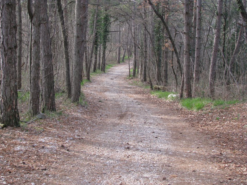 Štanjel - foto povečava