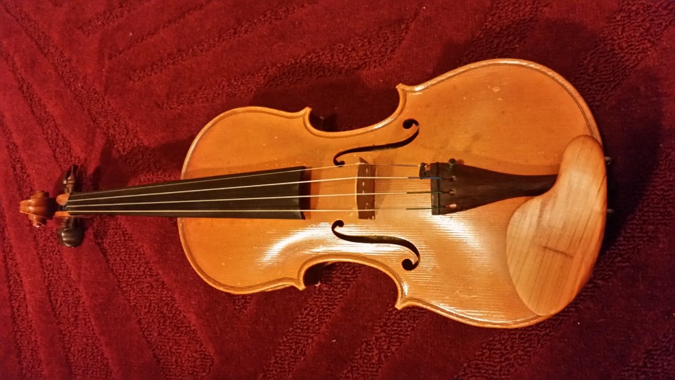 Violine - foto povečava