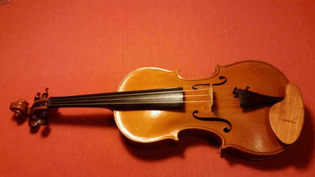 Violine - foto
