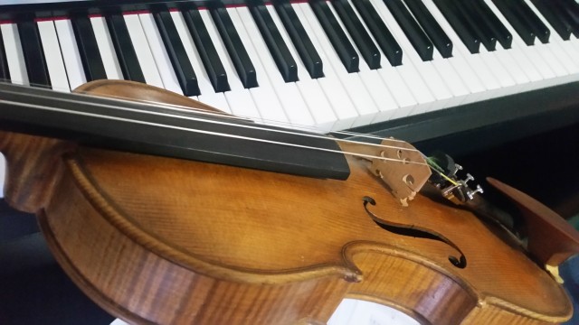 Violine - foto