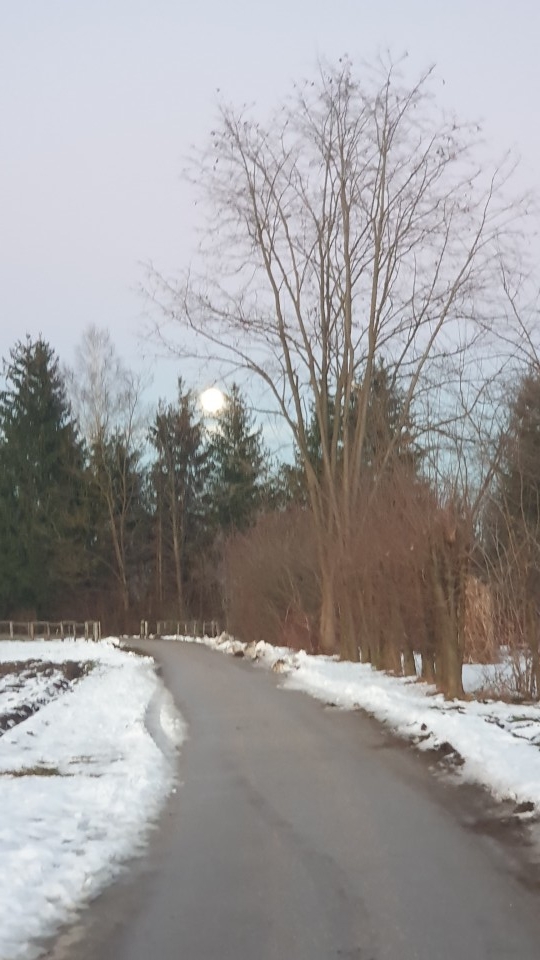 25. 1. 2024