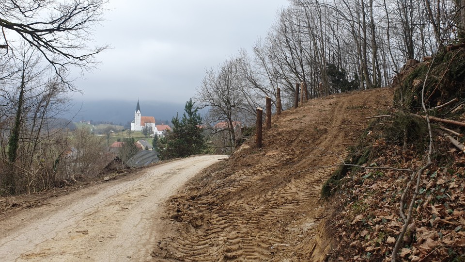 Sedraž 2024 - foto povečava