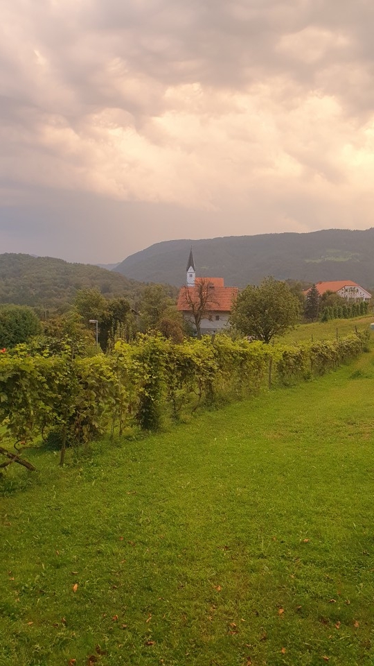 Sedraž 2024 - foto povečava