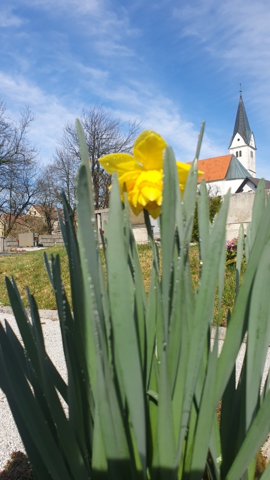 Sedraž 2024 - foto povečava