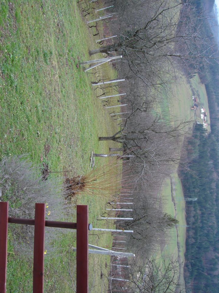 Kalajevo i ljeto 2011 - foto povečava