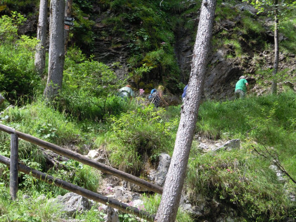 Kranjska Gora_ Zveza Sožitje 9.7-16.7.2011 - foto povečava