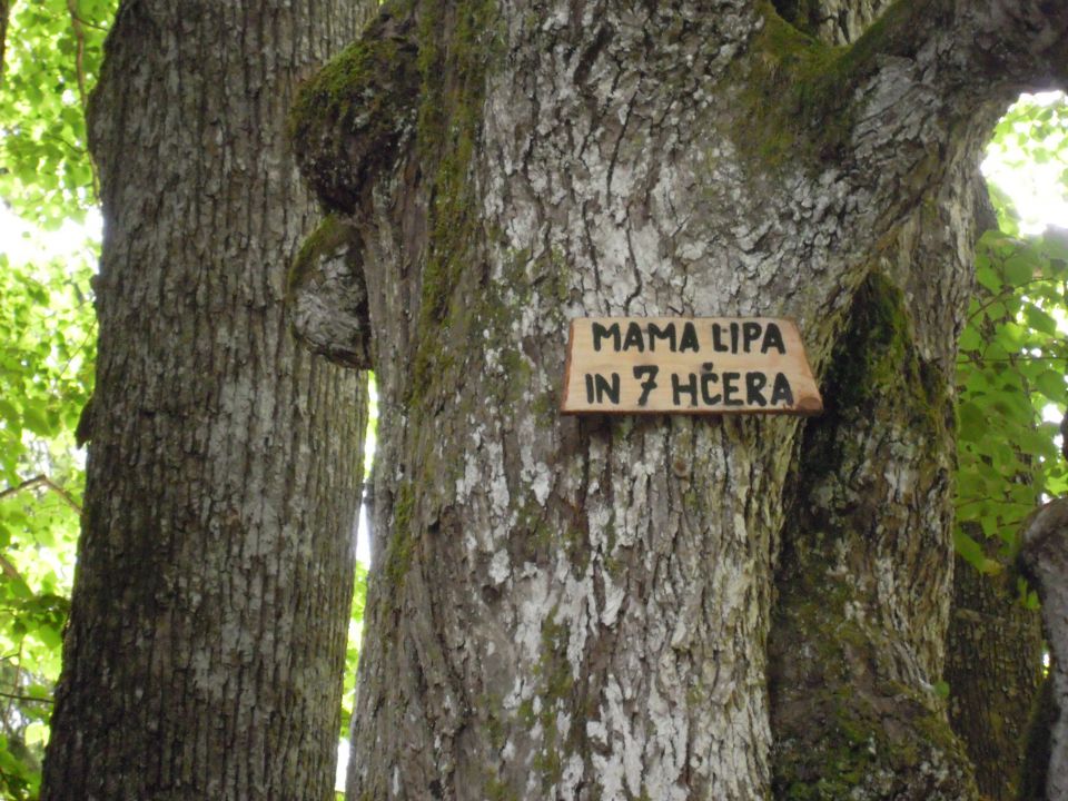 Kranjska Gora_ Zveza Sožitje 9.7-16.7.2011 - foto povečava