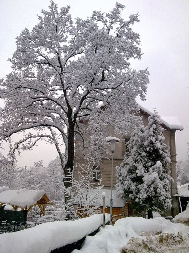 Tako malo - foto povečava