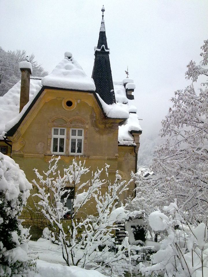 Tako malo - foto povečava