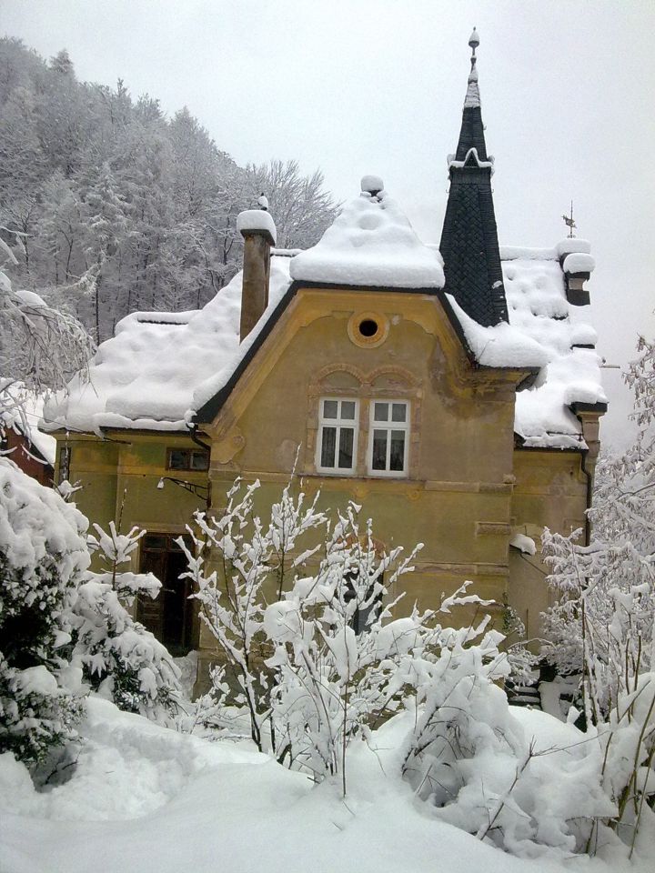 Tako malo - foto povečava