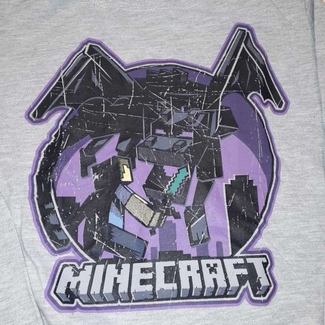 Reserved  Minecraft majica 134