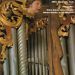 Orgle na slovenskem