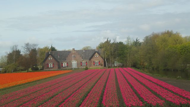 Nizozemska