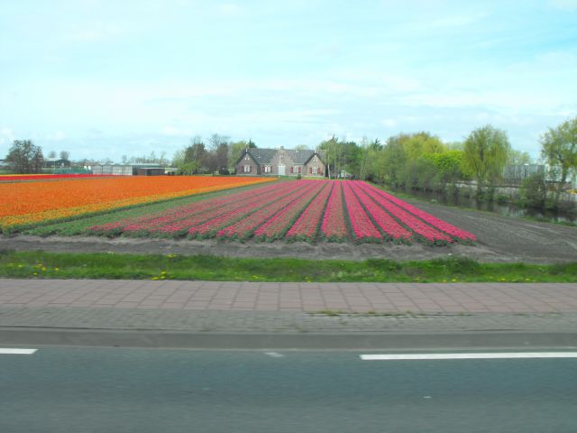 Nizozemska