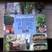Knjiga Balkonske in sobne rastline 5€