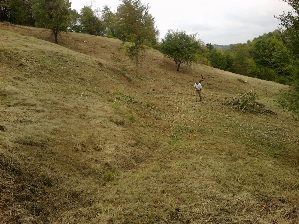 Mulčanje - foto povečava