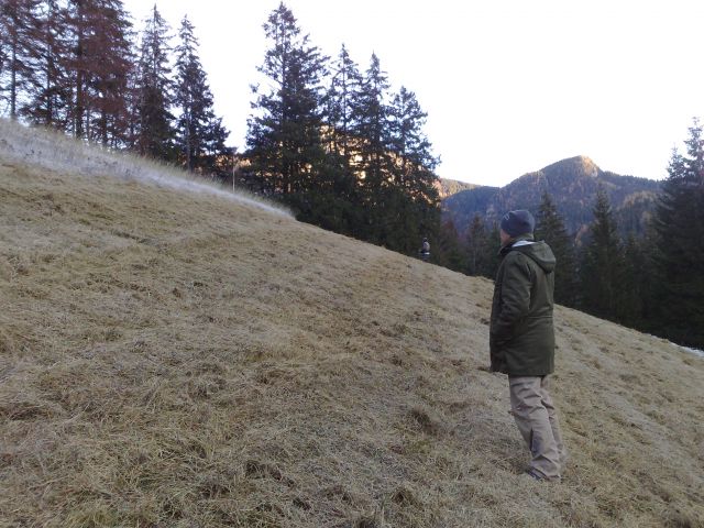 Mulčanje - foto