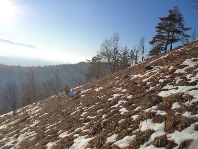 Velika Špička 955m - foto