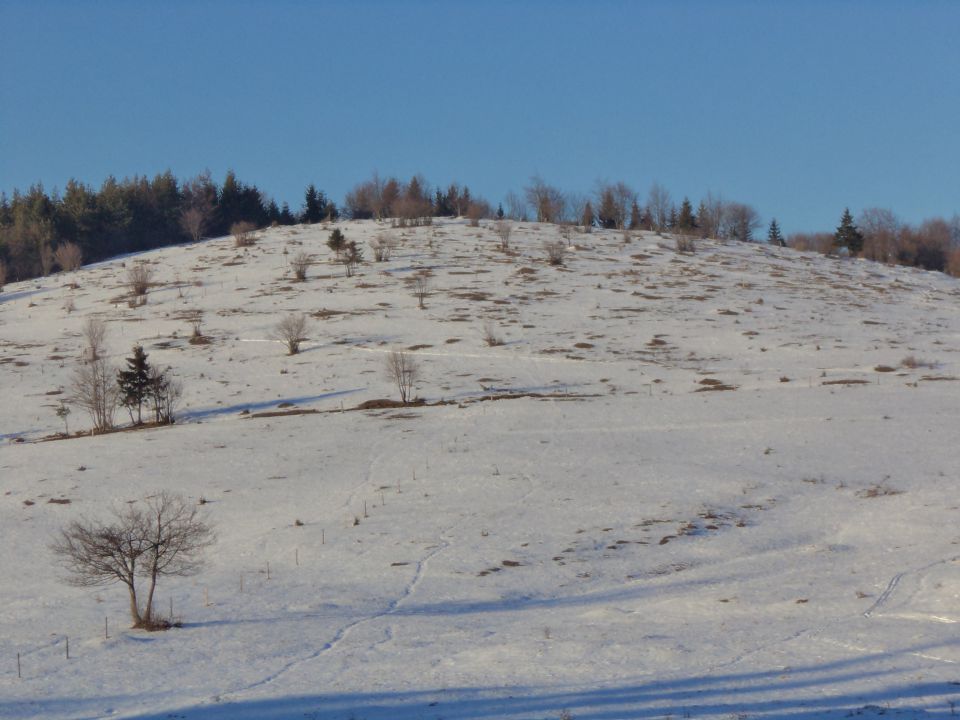 Velika Špička 955m - foto povečava