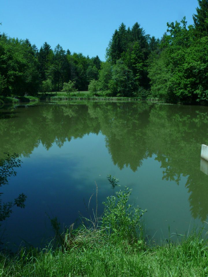 Piknik Aquanubis - foto povečava