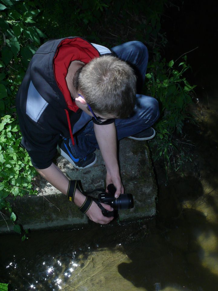 Piknik Aquanubis - foto povečava