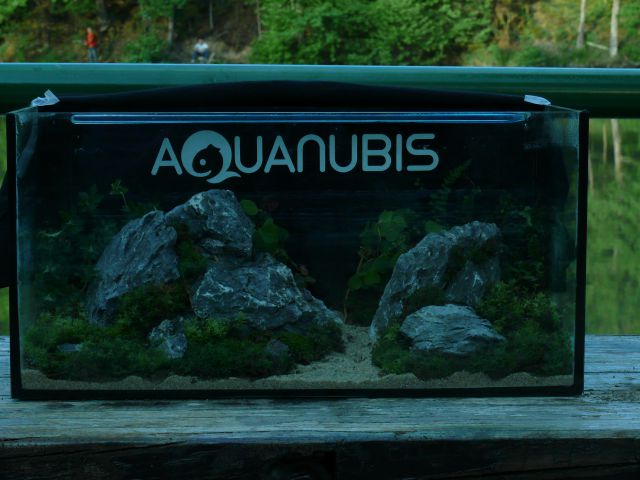 Piknik Aquanubis - foto