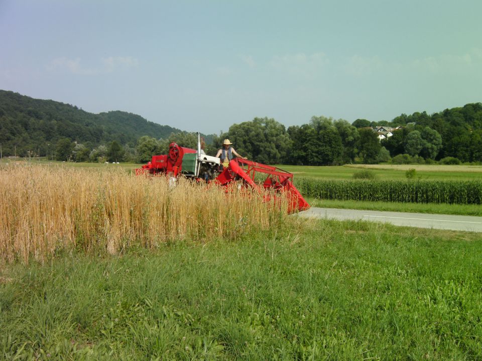 Kombajn - foto povečava