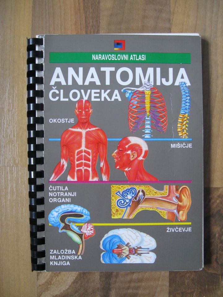 ANATOMIJA ČLOVEKA, odlično ohranjeno, 7 eur