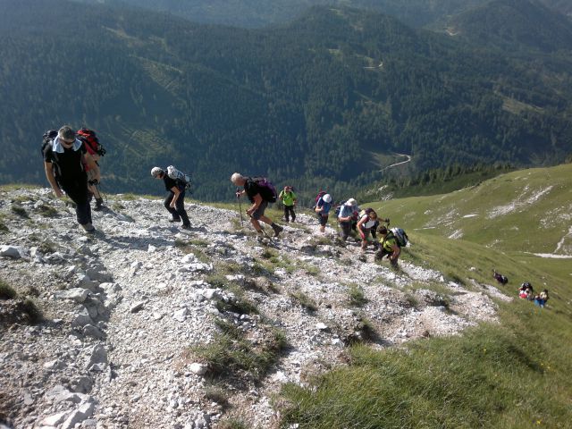 KOŠUTNIK-jul.2012 - foto