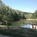 KK ribnik