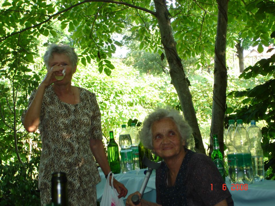 Brankotov piknik - 2008 - foto povečava