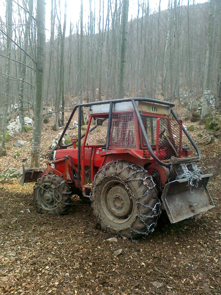 Gozdarske slike - foto povečava